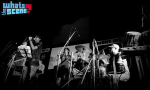 Gunzooloo at Jam Steady Gunzooloo at Jam Steady