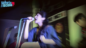 Gunzooloo at Jam Steady Gunzooloo at Jam Steady