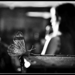 Soulmate At Taj Deccan, Hyderabad