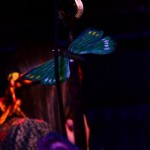 Soulmate And Boomerang At The BFlat Bar, Bangalore