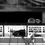 Big Junction Jam Festival at Palace Grounds, Bangalore