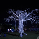 NH7 Weekender Day 1 at Amanora Park Town, Pune
