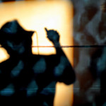 The Bicycle Days At The High Spirits, Pune