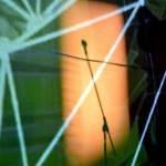 The Bicycle Days At The High Spirits, Pune