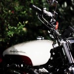 The Great Indian Octoberfest 2013 Experience