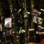 Capturing the Scene: A Photographic Exploration of Indian Music Today at High Spirits