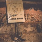 The Magnetic Fields Festival Experience