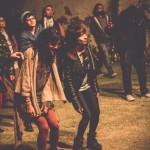 The Magnetic Fields Festival Experience