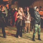 The Magnetic Fields Festival Experience