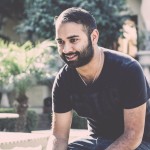 The Magnetic Fields Festival Experience