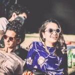 The Magnetic Fields Festival Experience