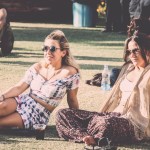 The Magnetic Fields Festival Experience