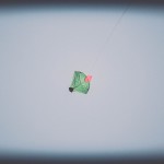 The Magnetic Fields Festival Experience