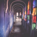 The Magnetic Fields Festival Experience