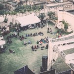 The Magnetic Fields Festival Experience