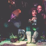 The Magnetic Fields Festival Experience