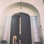 The Magnetic Fields Festival Experience