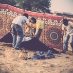 The Magnetic Fields Festival Experience