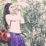 The Magnetic Fields Festival Experience