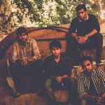 The Magnetic Fields Festival Experience