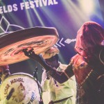 The Magnetic Fields Festival Experience