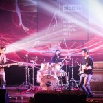 Calcutta String Festival 2014 at ICCR, Kolkata