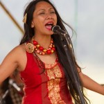 Ziro Festival of Music 2014